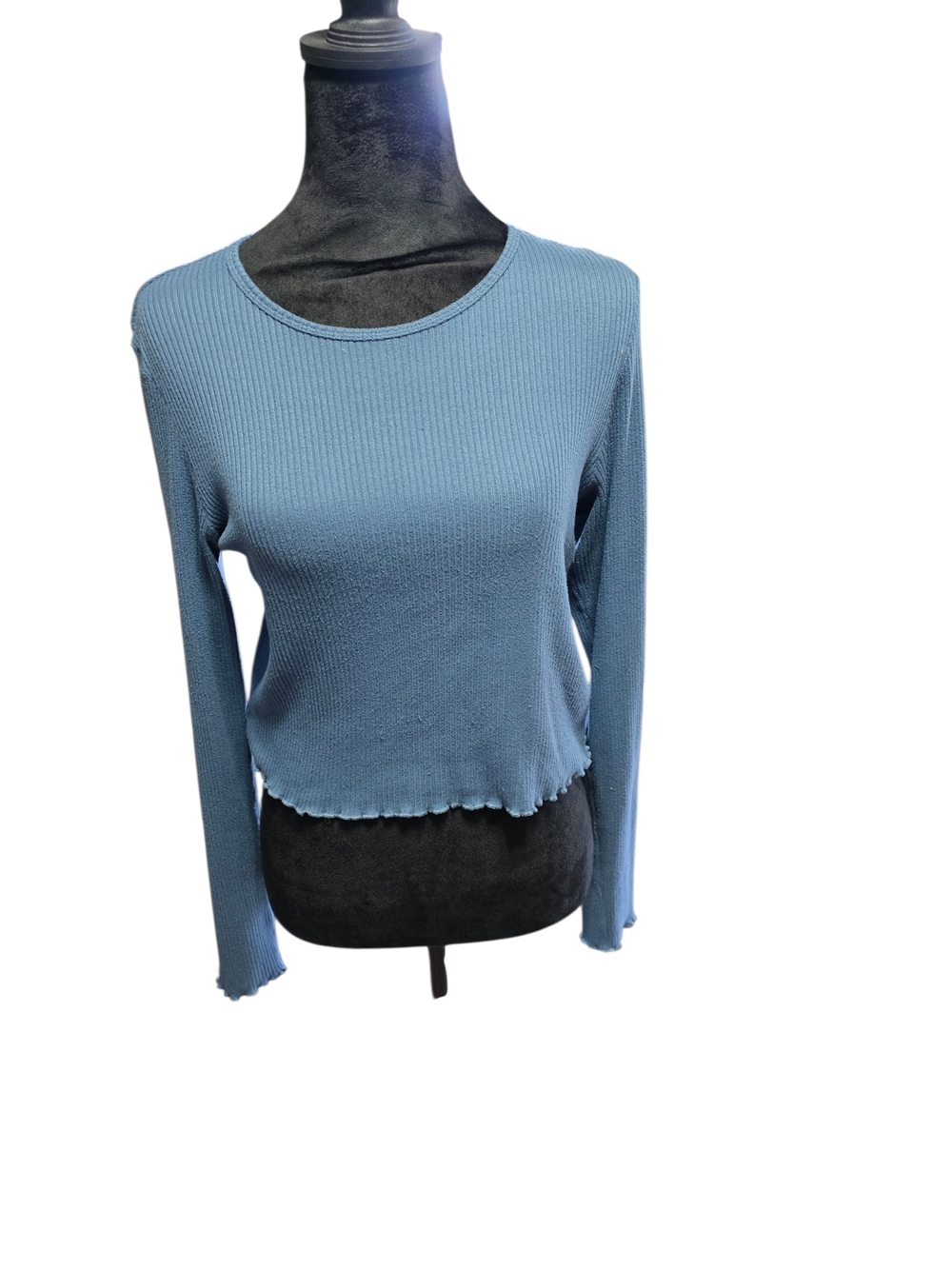 American Eagle Outfitters Dusty Blue Ribbed Cropped Long Sleeve Top